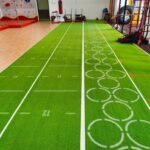 Artificial Turf (3)
