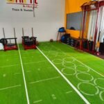 Artificial Turf (4)