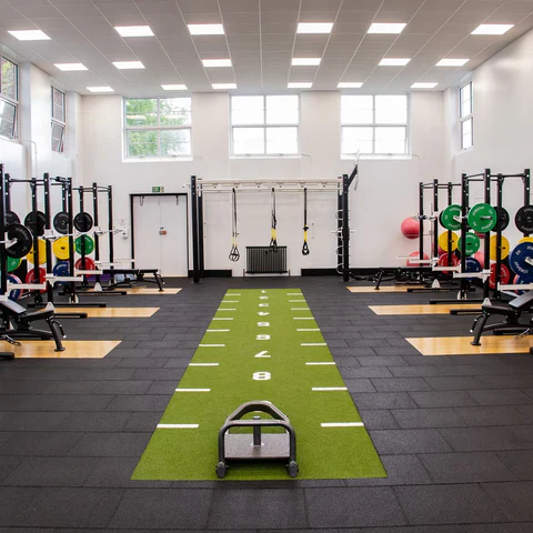 Artificial Turf (Grass)
